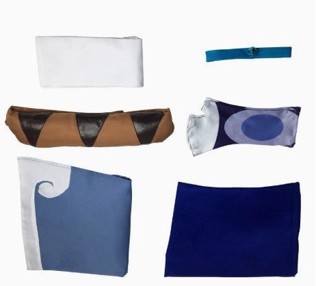 (special Order)  Avatar: The Last Airbender Katara Cosplay Costume [sz:large]