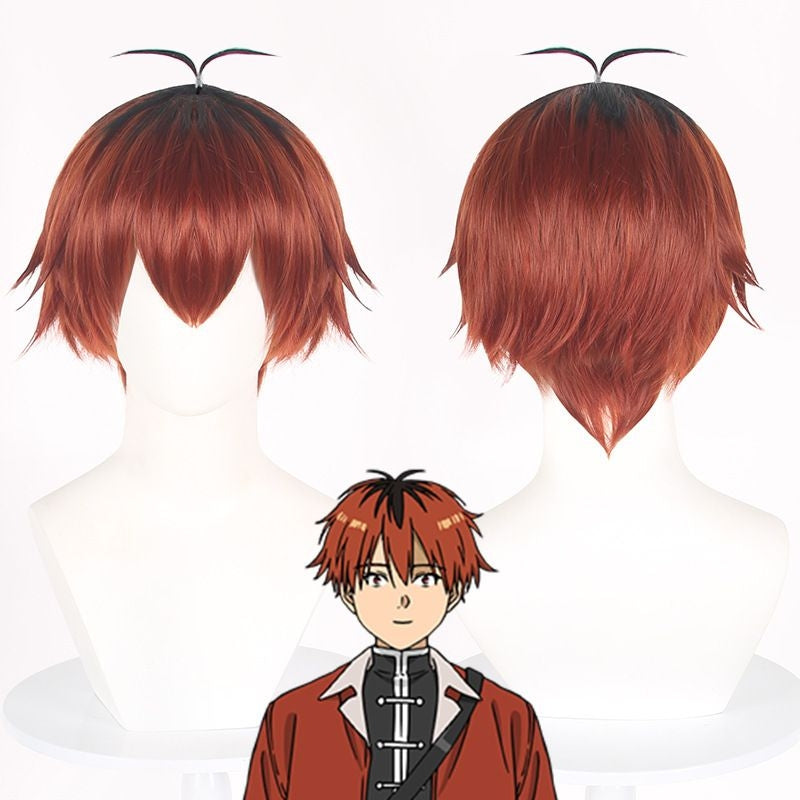 [special Order] Frieren Beyond Journeys End Stark Cosplay Wig